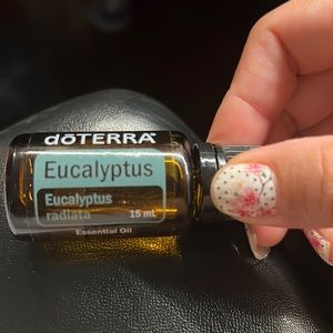 Brand new Eucalyptus